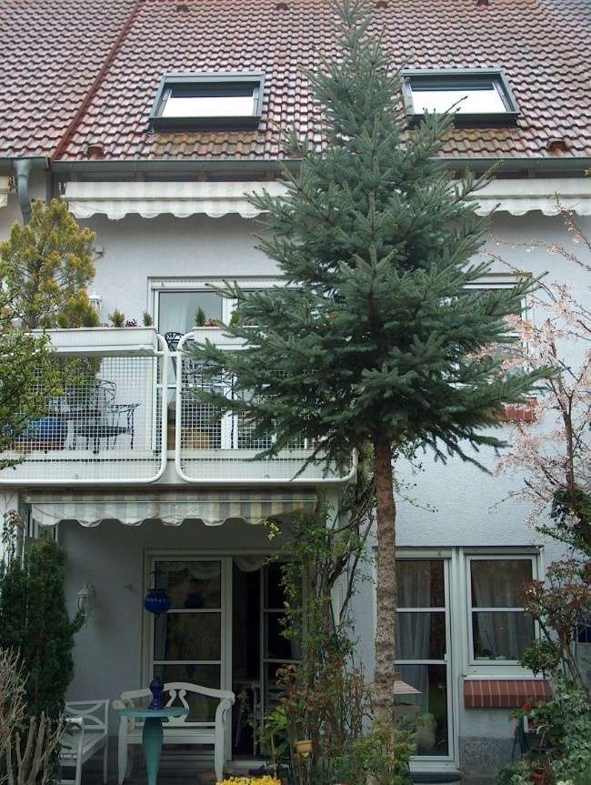 Ansicht vom Garten Reihenhaus Mannheim / Neckarau